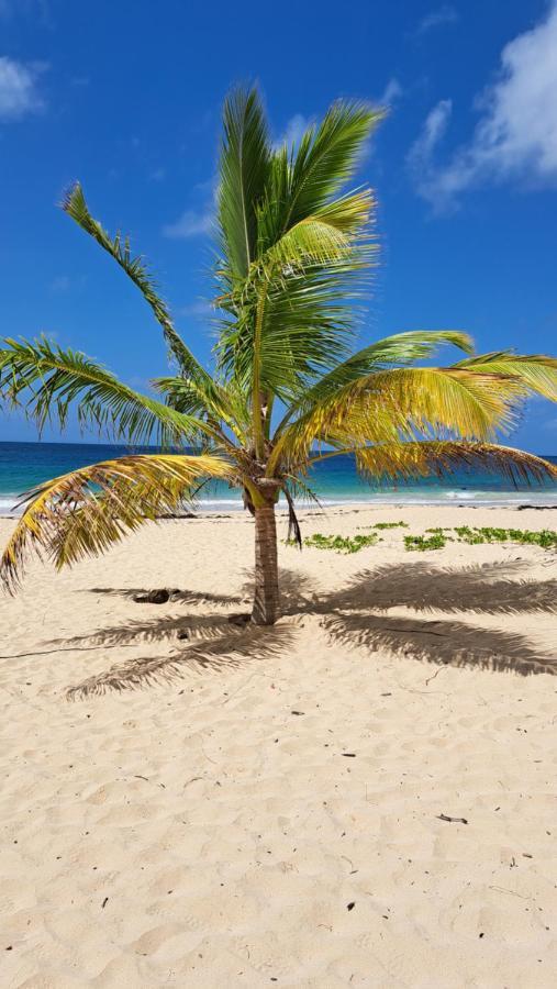Studio Plage De L'Anse Caritan Sainte-Anne Luaran gambar